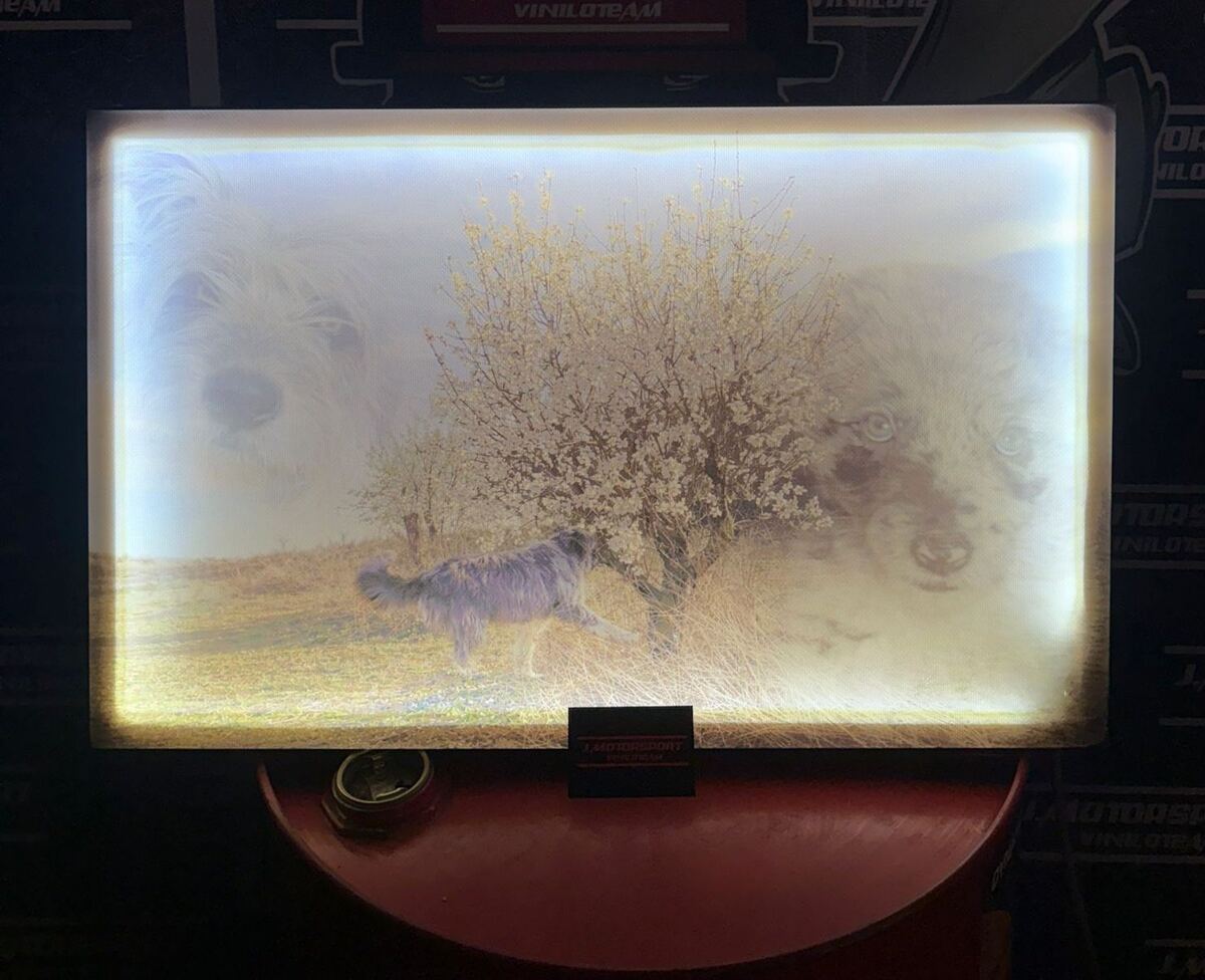 Cuadro luminoso LED con un paisaje impreso